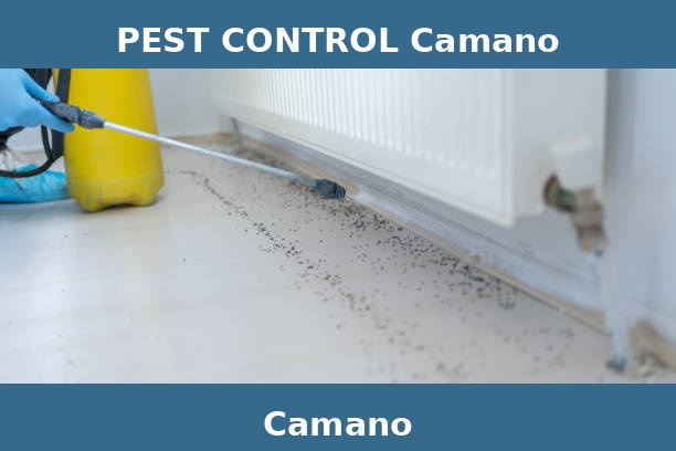 PEST CONTROL Camano